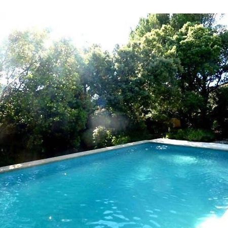 Studio En Rez-De-Jardin Arbore Avec Acces Piscine Et Clim 阿维尼翁新城 外观 照片