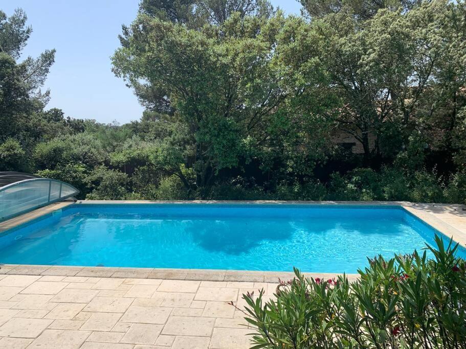 Studio En Rez-De-Jardin Arbore Avec Acces Piscine Et Clim 阿维尼翁新城 外观 照片