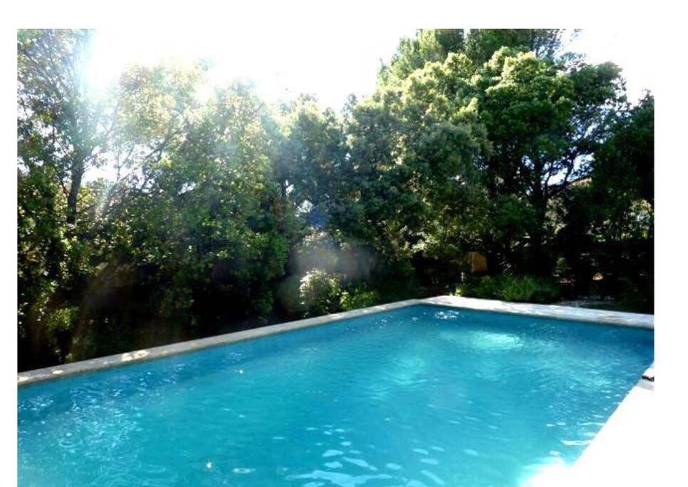 Studio En Rez-De-Jardin Arbore Avec Acces Piscine Et Clim 阿维尼翁新城 外观 照片